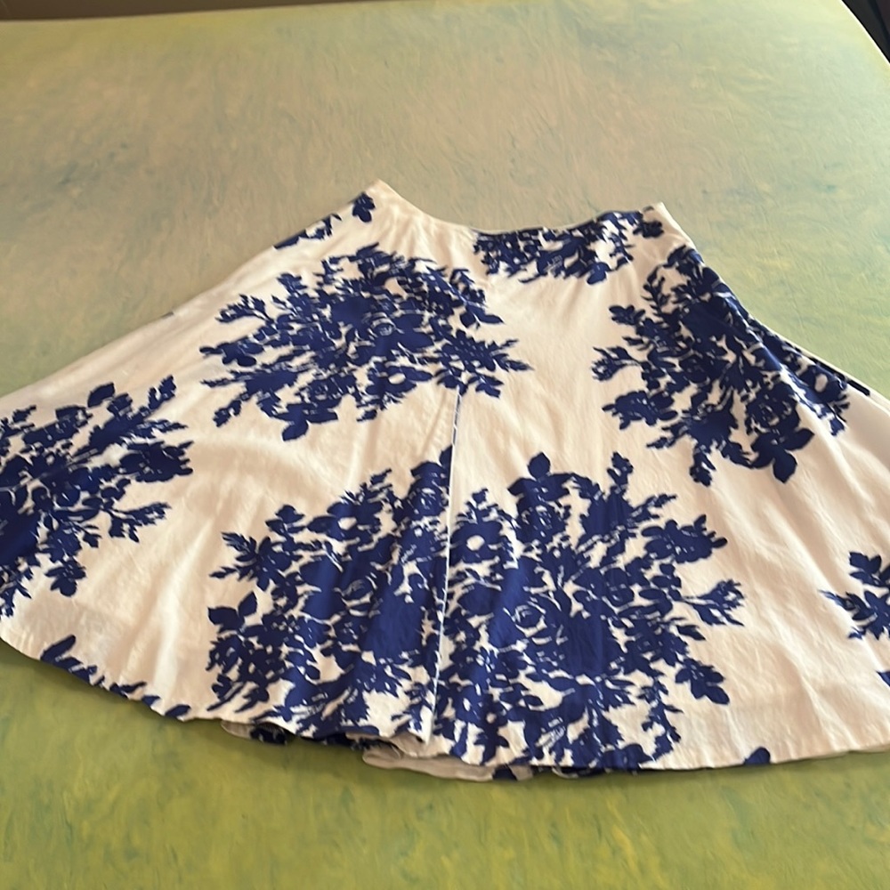 Size 4 Blue and White Gap skirt